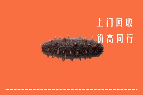 高价求购：乌翠区回收海参