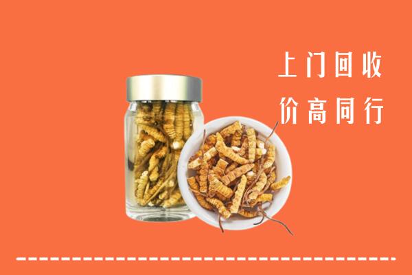 乌翠区回收冬虫夏草