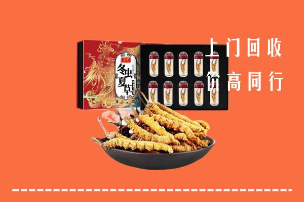 乌翠区回收虫草